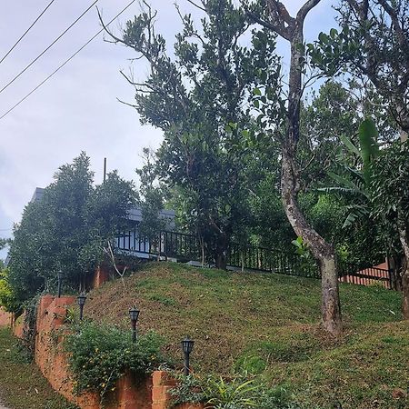 Peakaavu Cottages 伊都基 外观 照片